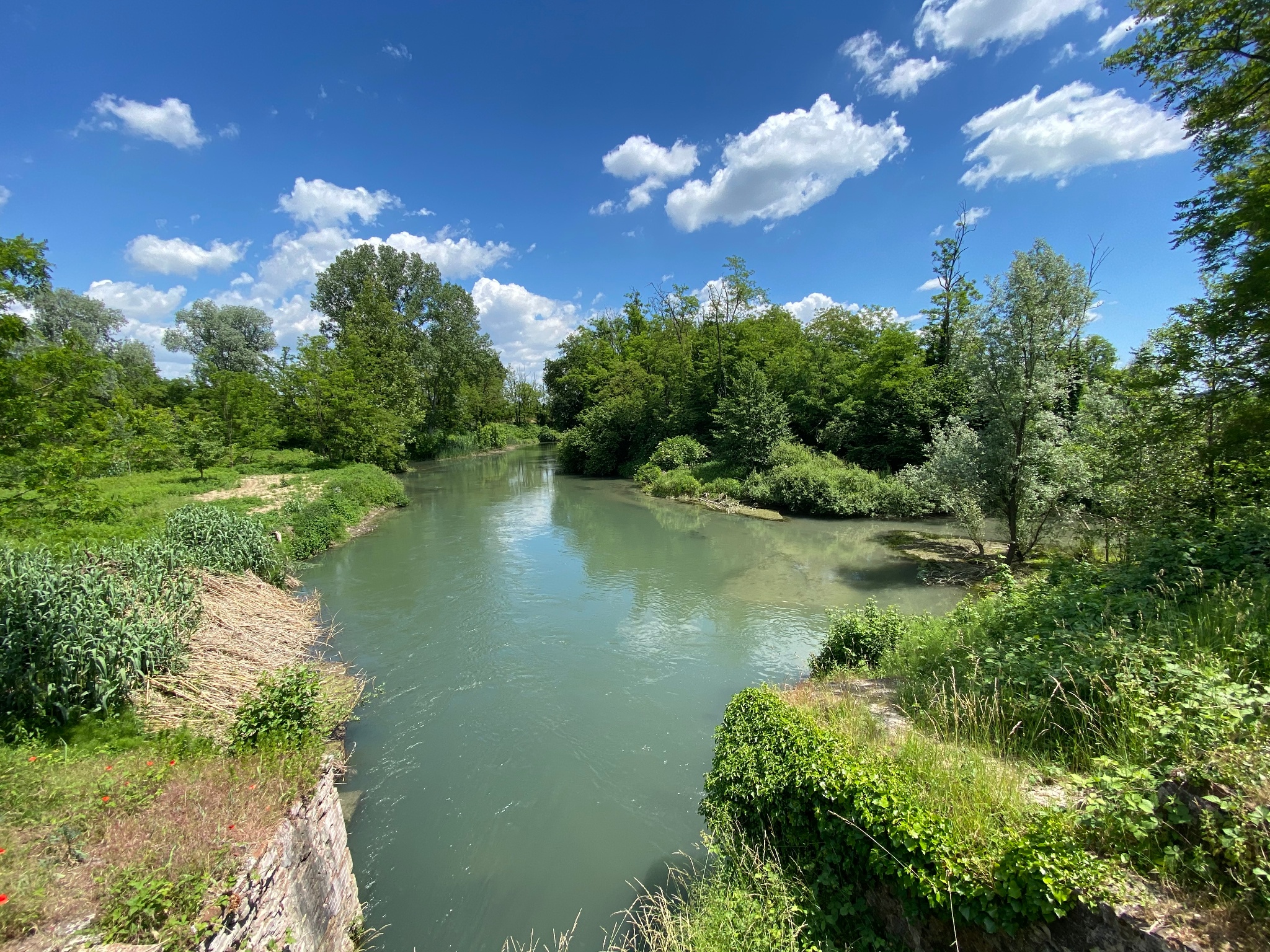 Canale Della Muzza Bertonico Lodi